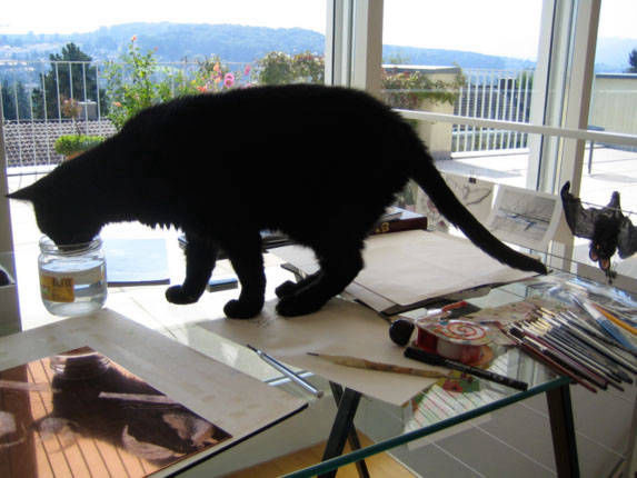 Kater auf Schreibtisch