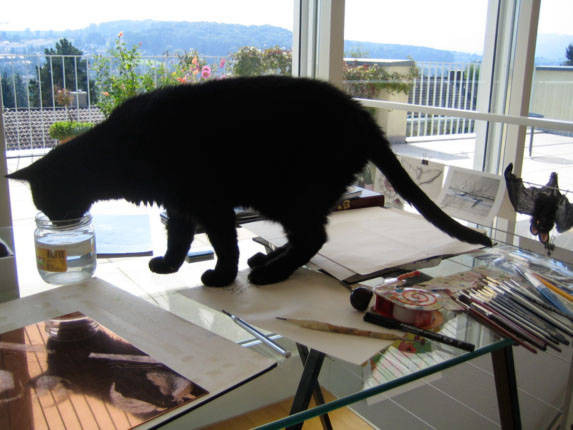 Kater auf Schreibtisch
